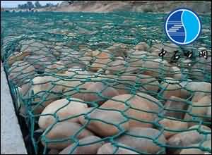 timg8888.jpg timg8888.jpg